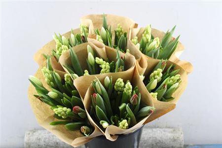 Hyacinth & Tulip Red & White Bouquet