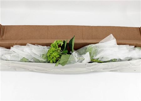 FeedSync:wholesale:98f2df1e206b23abb7efaa140474a283dd54c212