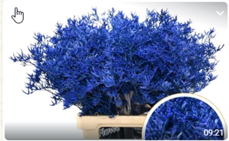 FeedSync:wholesale:e0995f4bb1d596467b94d6f3b0c97d9957f6113a