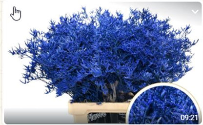 FeedSync:wholesale:e0995f4bb1d596467b94d6f3b0c97d9957f6113a