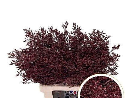 FeedSync:wholesale:61efe796fb97370334dc74a78d9c6a0f3c6dd746