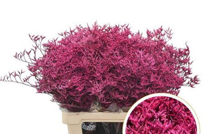 FeedSync:wholesale:62cb4d02bbc97e892a41fa11884974f635346f46