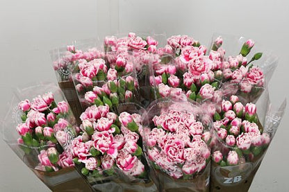 FeedSync:wholesale:a108286e6a8c80033044566a81b38ec7260ada70