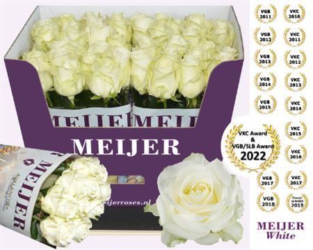 FeedSync:wholesale:3d1c064207915b8ec1369fe35d44d376d7a0dbf8