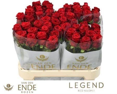 FeedSync:wholesale:8b1cf146c3be8ef49ca39d47779566eb1a46466d