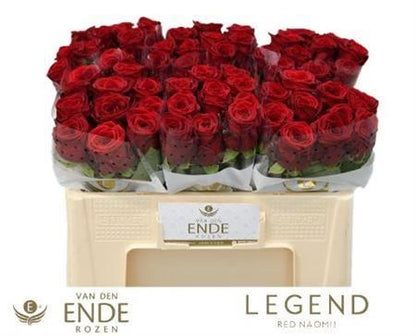 FeedSync:wholesale:d8948566282499fadfd1defb36339f1ad06dfa79