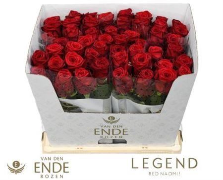Rose Red Naomi Van Den Ende