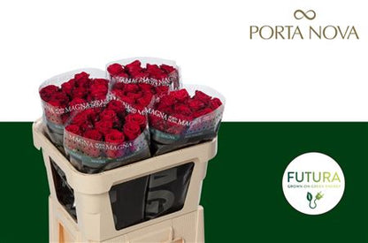 FeedSync:wholesale:cf5ef9e3b62f9674e73c9117e64d3c1bc0f482d9