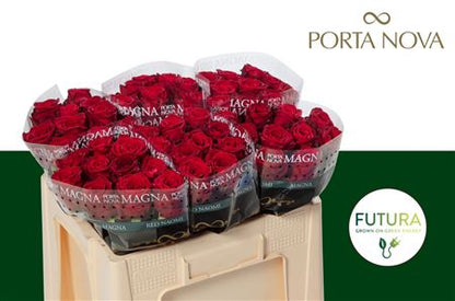FeedSync:wholesale:3a6f9b27e7260d4a83e7a00504c1d95117abbd39
