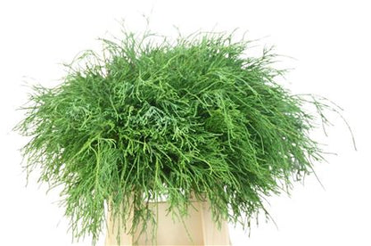 FeedSync:wholesale:31184197e841913e2e28dcc62eadf21b335deb46