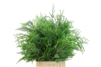 FeedSync:wholesale:691895cad7219555c1efc23ed15cef70b3a54cce