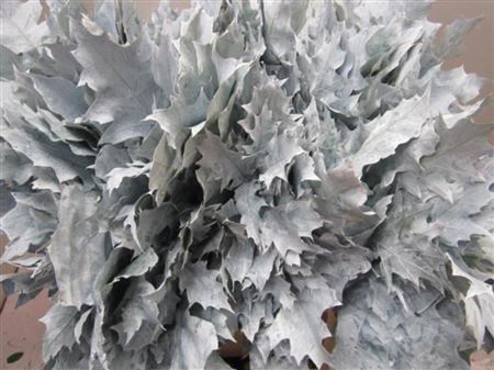 FeedSync:wholesale:1324c83f0900fa9fdd4dcc29dc0d72ece24170a2