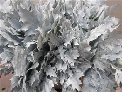 FeedSync:wholesale:1324c83f0900fa9fdd4dcc29dc0d72ece24170a2
