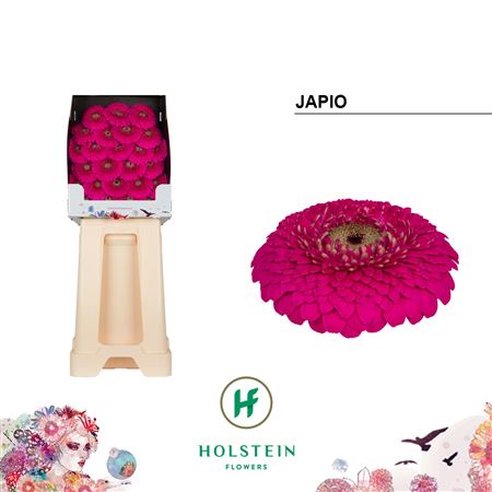 FeedSync:wholesale:a10b824756e1925b5047b46eac3b0c2363aaa254