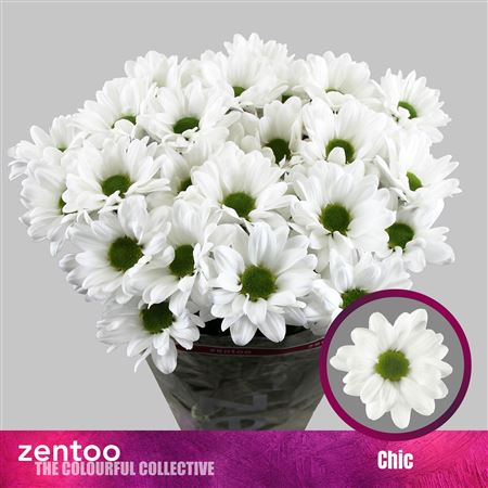 FeedSync:wholesale:8e70c785f28c04b183cacc7142a9bbe7cf5e024f