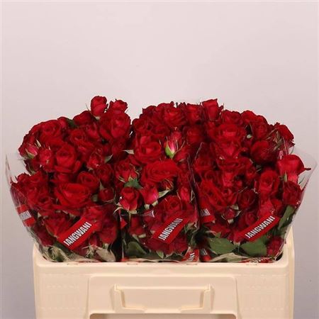 FeedSync:wholesale:1407c296c6f57552977de0f2e9bf3c189af71988