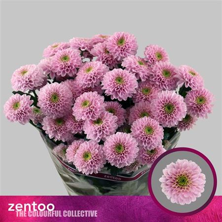 FeedSync:wholesale:03402ac1af65ef1f54f119dabe288aa432aa5338