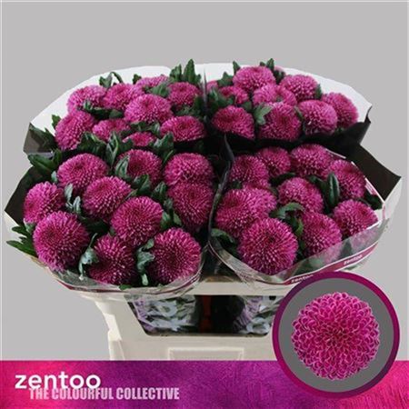 FeedSync:wholesale:b6e8a75aa1c852eaa9609a82baaa4761f0194af1