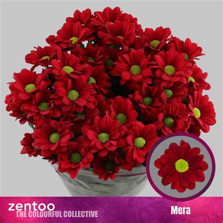 FeedSync:wholesale:a4027452fc95fe00f708bc5ae6666f4283c57f51