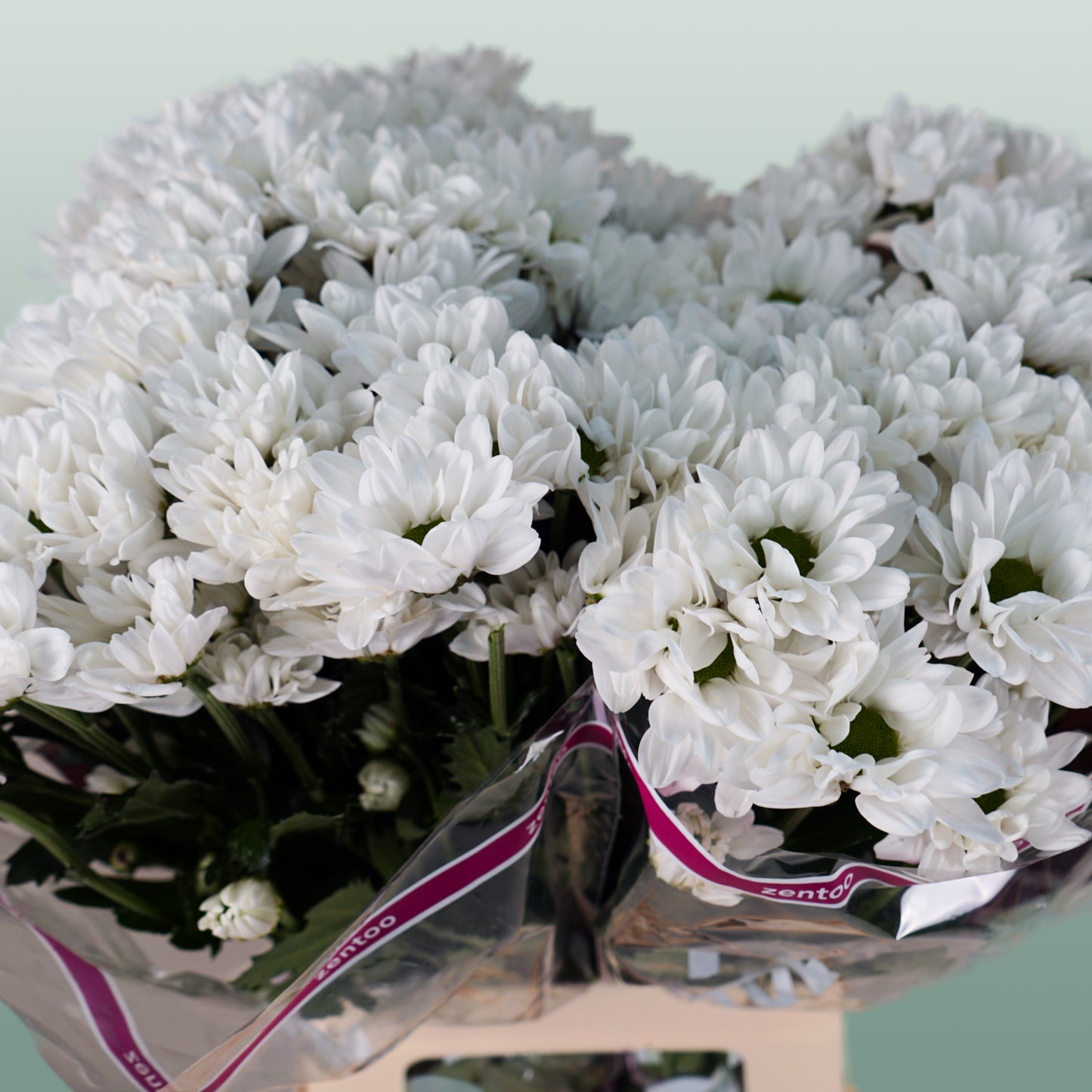 Chrysanthemum Spray Chic White (20 Stems)
