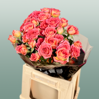 Spray Rose Chimo