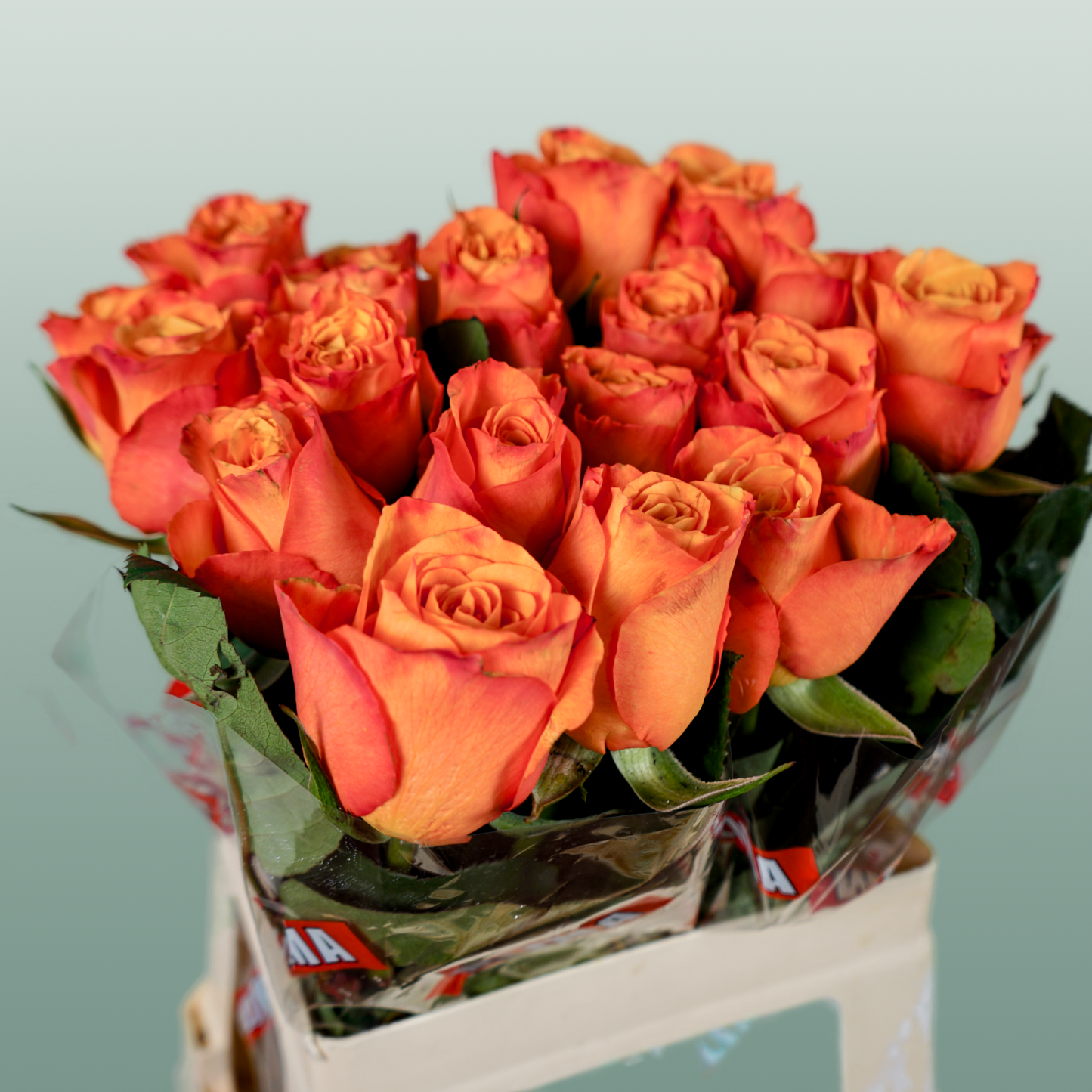Rose Confidential (20 Stems)