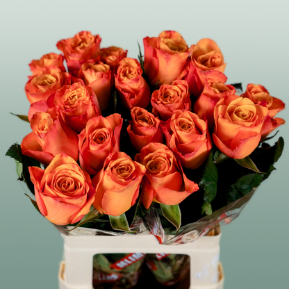 Rose Confidential (20 Stems)