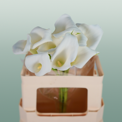Calla Crystal Blush