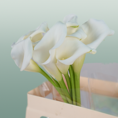 Calla Crystal Blush