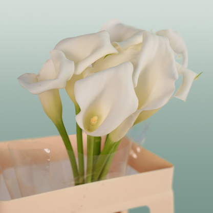 Calla Crystal Blush