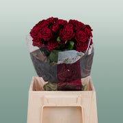Spray Rose - Rosa - Dominica