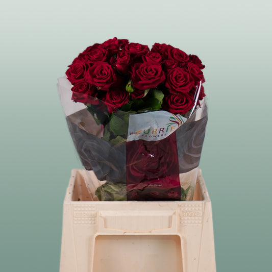Spray Rose Dominica (10 Stems)