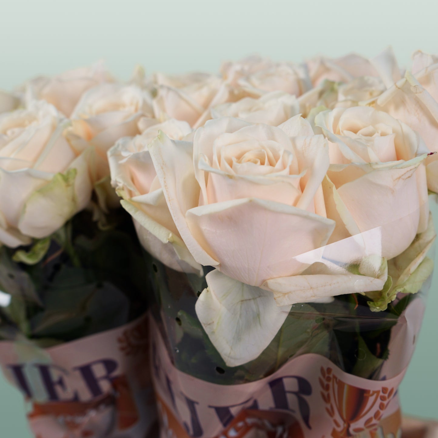 Rose Dorchester (20 Stems)