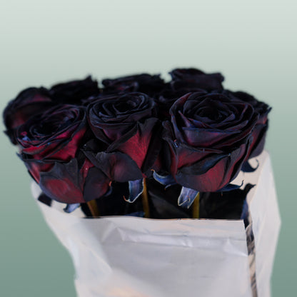 Rose Dyed Black (20 Stems)