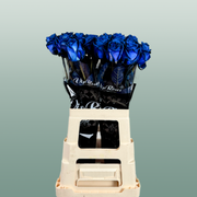 Rose Dyed Blue