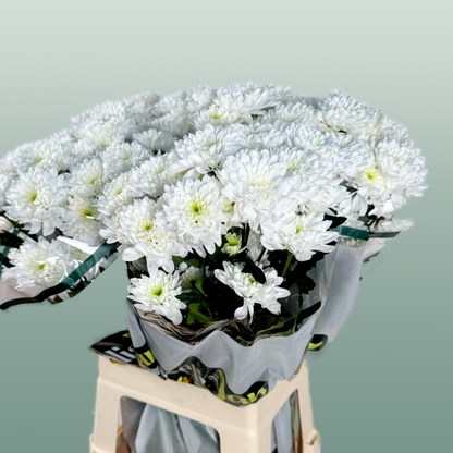 Chrysanthemum Spray Euro