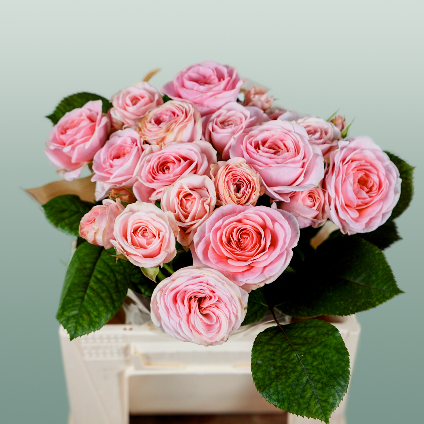 Spray Rose Fatal Attra
