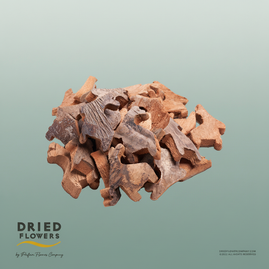 Dried Deco Coconut Skin Reindeer Natural