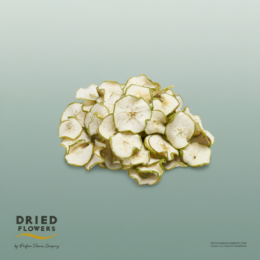 Dried Deco Green Apple Slices