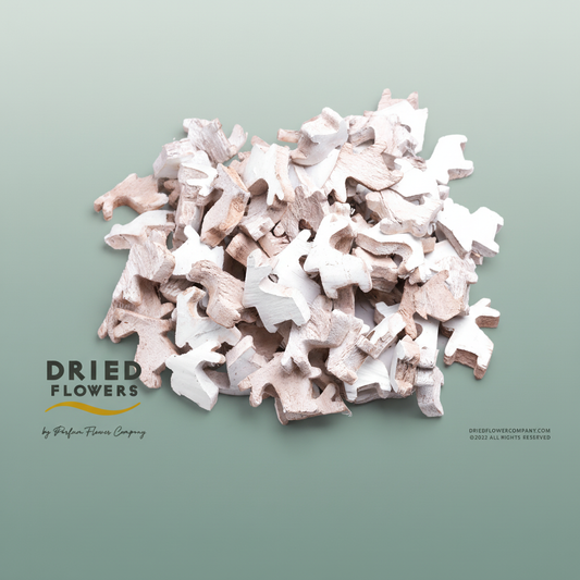Dried Deco Coconut Skin Reindeer White
