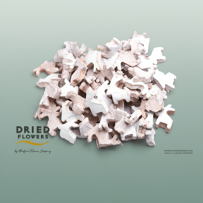 Dried Deco Coconut Skin Reindeer White