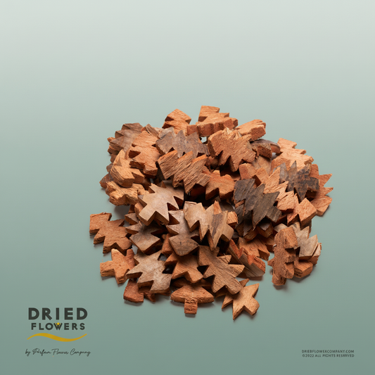 Dried Deco Coconut Christmass Tree Natural