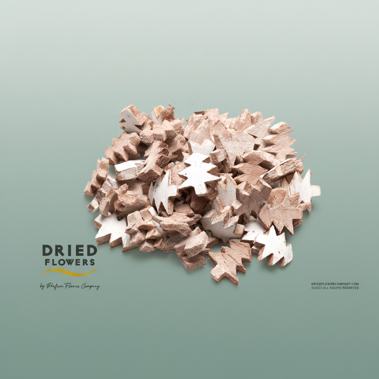 Dried Deco Coconut Christmass Tree White