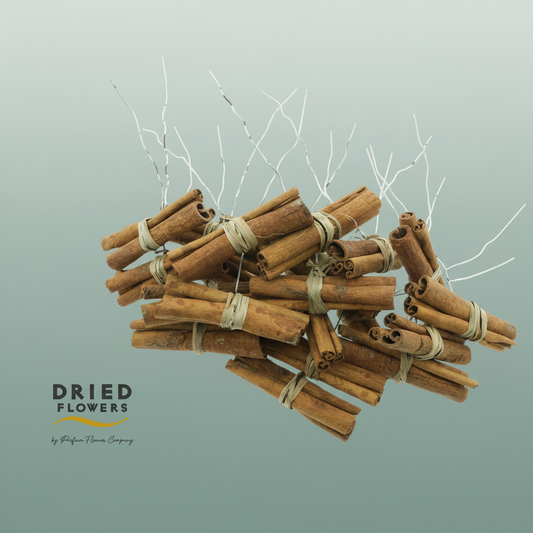 Dried Deco Cinnamon On Wire