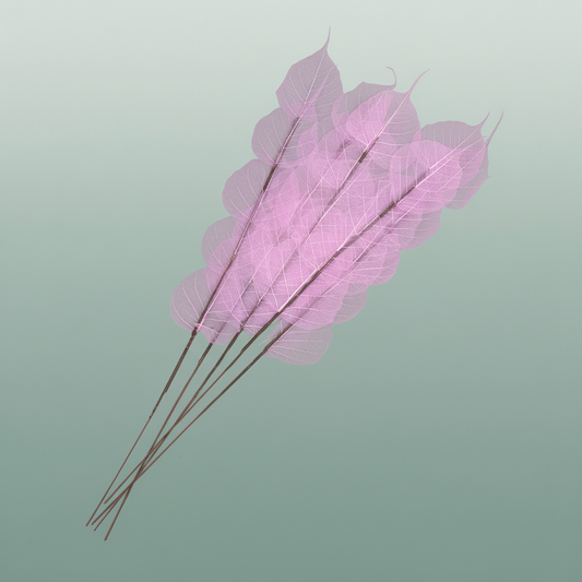 Dried Bleached Ficus Stem Purple