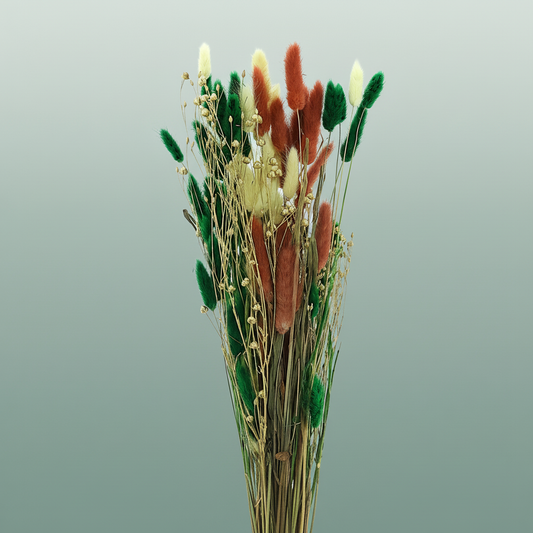 Dried Bleached Lagurus Xmas