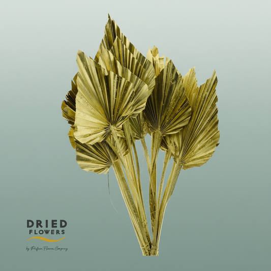 Dried Palm Spear Small Gold