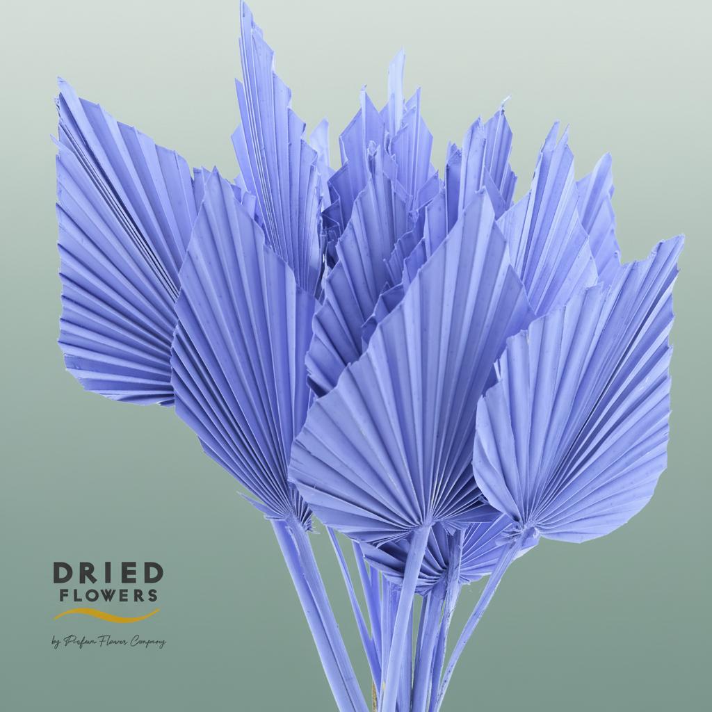 Dried Palm Spear Small Milka