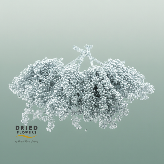 Dried Pepper Berries Silver