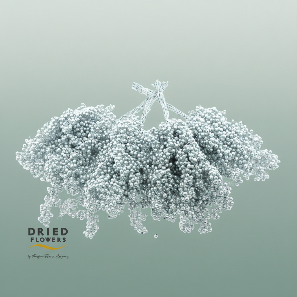 Dried Pepper Berries Silver